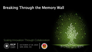 Breaking Through the Memory Wall
 