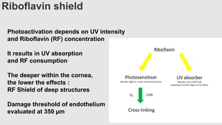 Riboflavin shield
Photoactivation depends on UV intensity
and Riboflavin (RF) concentration
It results in UV absorption
and RF consumption
The deeper within the cornea,
the lower the effects :
RF Shield of deep structures
Damage threshold of endothelium
evaluated at 350 µm
 