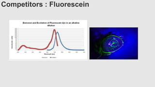 Competitors : Fluorescein
 