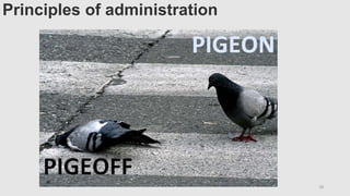 Principles of administration
28
 