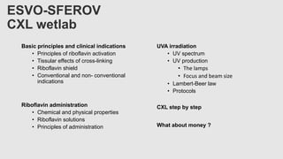 ESVO-SFEROV
CXL wetlab
Basic principles and clinical indications
• Principles of riboflavin activation
• Tissular effects of cross-linking
• Riboflavin shield
• Conventional and non- conventional
indications
Riboflavin administration
• Chemical and physical properties
• Riboflavin solutions
• Principles of administration
UVA irradiation
• UV spectrum
• UV production
• The lamps
• Focus and beam size
• Lambert-Beer law
• Protocols
CXL step by step
What about money ?
 