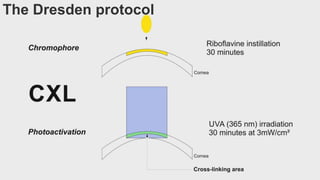 The Dresden protocol
 