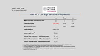 PACK-CXL in dogs and cats: compilation
• Spiess BM, Pot SA, Florin M, et al. Corneal collagen cross-linking (CXL) for the treatment of melting keratitis in cats and dogs: a pilot study. Vet Ophthalmol. 2013.
• Famose F. Evaluation of accelerated collagen cross-linking for the treatment of melting keratitis in eight dogs. Vet Ophthalmol. 2013.
• Pot SA, Gallhofer NS, Matheis FL, et al. Corneal collagen cross-linking as treatment for infectious and noninfectious corneal melting in cats and dogs: results of a prospective,
nonrandomized, controlled trial. Vet Ophthalmol. 2013.
• Famose F. Evaluation of accelerated collagen cross-linking for the treatment of melting keratitis in ten cats. Vet Ophthalmol. 2013.
• Famose F, Roy P. Evaluation of accelerated corneal collagen cross-linking (CXL) after impregnation of riboflavin by iontophoresis for the treatment of melting keratitis in 6 cats,
Proceedings ECVO conference London 2014.
Total Dogs Cats
# eyes (5 studies, unpublished data) 68 32 36
Treatment failure 8/68 (12%) 7/32 1/36
Brachycephalic/total 18/32 13/36
Ulcer depth (%) 50% (15-80)
Ulcer area in (mm2) 5-240
Interval start treatment – stabilization (days) (< 14)
Interval start treatment – defect closure (days) 14<->30
Culture positive (Staph, Pseudomonas, Strep) 26/66
Source: S. Pot DVM
ECVO Masterclass 2014
 