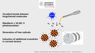 Covalent bonds between
longchained molecules
Riboflavin = Vit B2 
photosensitizer
Generation of free radicals
Induction of additional crosslinks
in corneal stroma
Adapted from: Duane’s Ophthalmology, Chapter 4, 2006 and Fratzl et al.,1993, Biophys J 64: 1210-1214
365nm
O2
-
O2
-O2
-
O2
- O2
-
Slide contributions by S. Pot
 