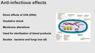 Anti-infectious effects
Direct effects of UVA (DNA)
Oxydative shock
Membrane alterations
Used for sterilization of blood products
Studies : bacteria and fungi (not all)
 