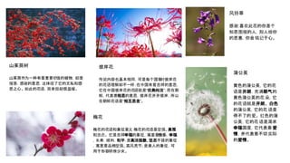 山茱萸树
山茱萸作为一种有着重要价值的植物，却是
报答，感谢的意思，这体现了它的无私和感
恩之心。 如此的花语，简单但却很温暖。
梅花
梅花的花语和象征意义 梅花的花语是坚强、高雅
和忠贞。 它是吉祥幸福的象征，寓意着快乐，幸福
，长寿，顺利，和平；是高洁孤傲、坚忍不拔的象征
，寓意着品格坚强、高风亮节；是美人的象征，可
用于形容娇俏少女。
彼岸花
传说内容也基本相同，可是每个国家对彼岸花
的花语理解却不一样：在中国有着吉祥的意思，
它在中国彼岸花的花语就是“优美纯洁”；而在朝
鲜，代表着相思的意思，彼岸花开开彼岸，所以
在朝鲜花语是“相互思念”。
风铃草
感谢:喜欢此花的你是个
知恩图报的人，别人给你
的恩惠，你会铭记于心。
蒲公英
黄色的蒲公英，它的花
语是开朗，充满朝气的
黄色蒲公英的花 朵，它
的花语就是开朗。 白色
的蒲公英，它的花 语是
停不了的爱。 红色的蒲
公英，它的花语是渴求
幸福国度，它代表着 爱
情，并代表着不切 实际
的爱情。
 