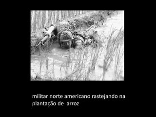 militar norte americano rastejando na
plantação de arroz
 
