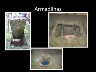 Armadilhas
 
