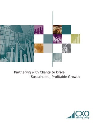 Partnering with Clients to Drive
Sustainable, Profitable Growth
CXOAdvisory Group
 