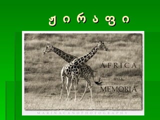 ჟ ი რ ა ფ ი 