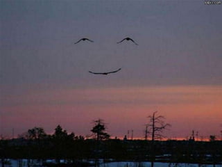 ცხოვრება უკმაყოფილების გარეშე