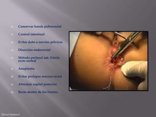 

Conservar banda puborrectal



Control intestinal



Evitar daño a nervios pélvicos



Disección endorrectal



Método perineal ant. fistula
recto uretral



Anoplastia



Evitar prolapso mucosa rectal



Abordaje sagital posterior



Recto dentro de los limites

Klever Santos G

 