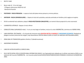 Cx recto y ano ultimo parcial | PPT
