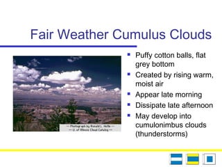 Fair Weather Cumulus Clouds
 Puffy cotton balls, flat
grey bottom
 Created by rising warm,
moist air
 Appear late morning
 Dissipate late afternoon
 May develop into
cumulonimbus clouds
(thunderstorms)
 