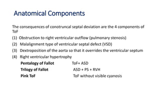 Anatomical Components
The consequences of conotruncal septal deviation are the 4 components of
ToF
(1) Obstruction to right ventricular outflow (pulmonary stenosis)
(2) Malalignment type of ventricular septal defect (VSD)
(3) Dextroposition of the aorta so that it overrides the ventricular septum
(4) Right ventricular hypertrophy
Pentalogy of Fallot ToF+ ASD
Trilogy of Fallot ASD + PS + RVH
Pink ToF ToF without visible cyanosis
 