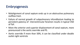Embryogenesis
• Malalignment of conal septum ends up in an obstructive pulmonary
outflow tract.
• Failure of normal growth of subpulmonary infundibulum leading to
persistent patency of interventricular foramen results in typical VSD
of ToF.
• More the anterior and superior displacement of conal septum, more
pronounced is the aortic override and PS.
• Aortic override if more than 50%, it can be classified under double
outlet right ventricle
 