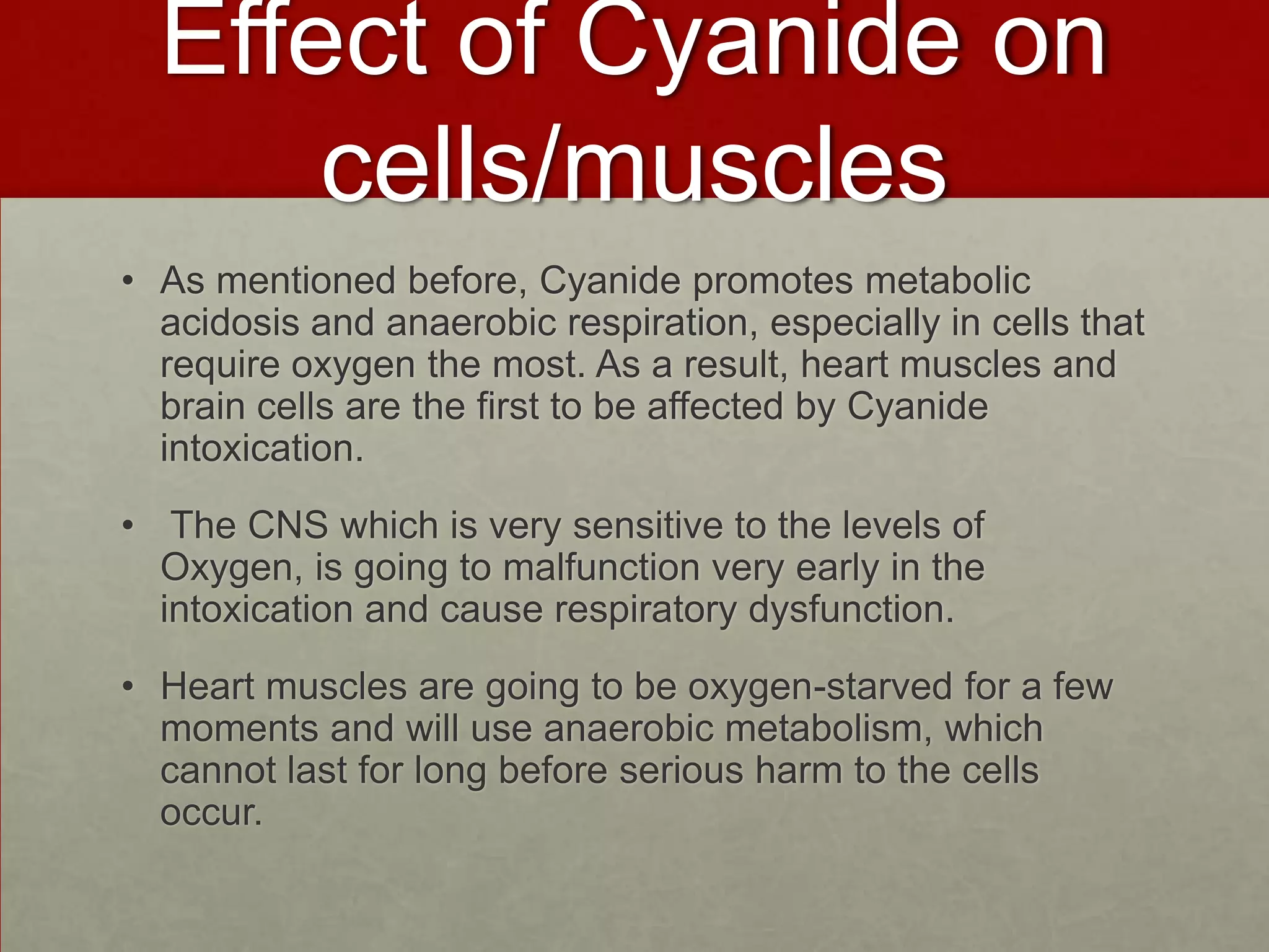 Effect of Cyanide on
cells/muscles
• As mentioned before, Cyanide promotes metabolic
acidosis and anaerobic respiration, especially in cells that
require oxygen the most. As a result, heart muscles and
brain cells are the first to be affected by Cyanide
intoxication.
• The CNS which is very sensitive to the levels of
Oxygen, is going to malfunction very early in the
intoxication and cause respiratory dysfunction.
• Heart muscles are going to be oxygen-starved for a few
moments and will use anaerobic metabolism, which
cannot last for long before serious harm to the cells
occur.

 