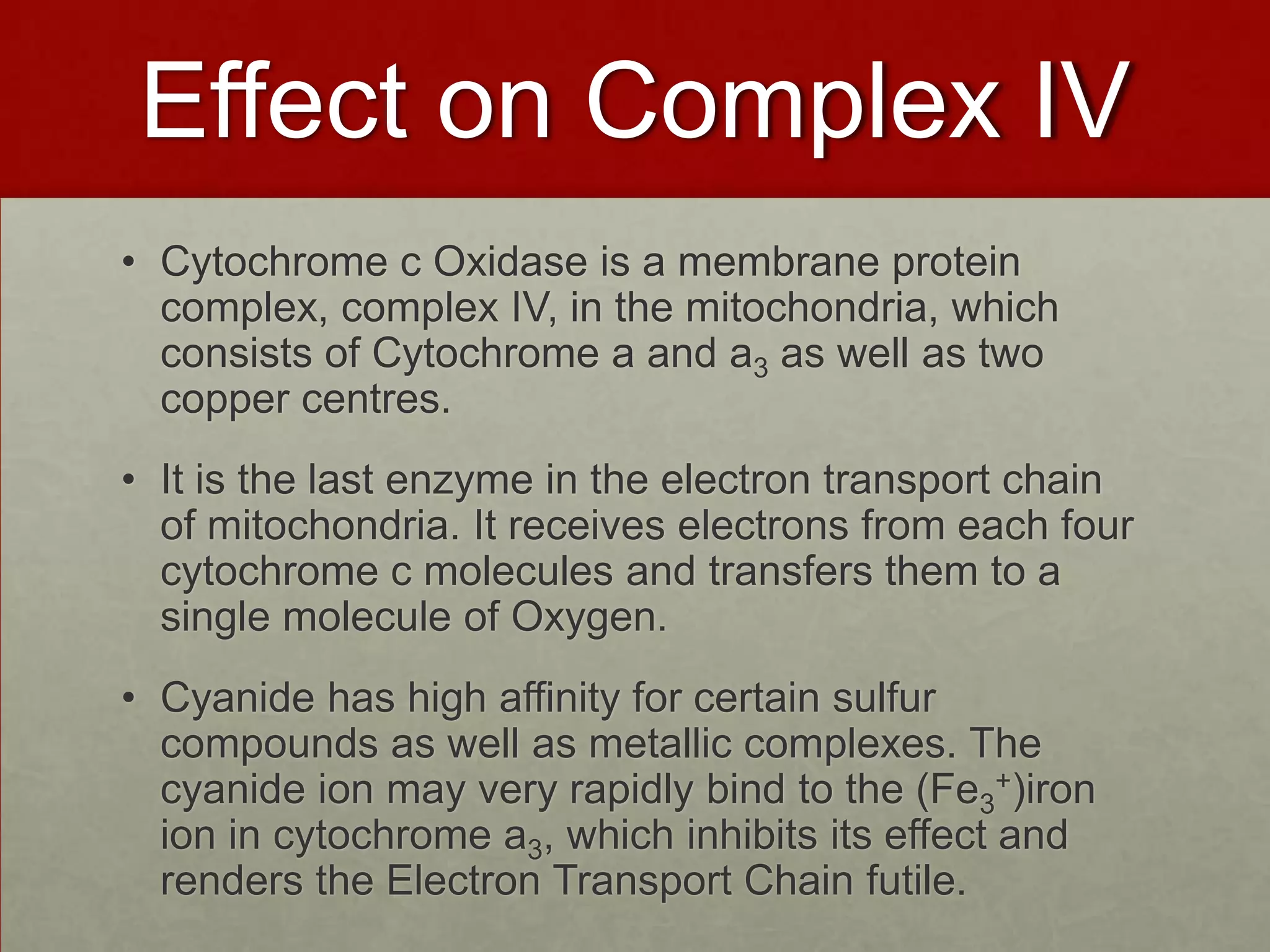 Effect on Complex IV
• Cytochrome c Oxidase is a membrane protein
complex, complex IV, in the mitochondria, which
consists of Cytochrome a and a3 as well as two
copper centres.

• It is the last enzyme in the electron transport chain
of mitochondria. It receives electrons from each four
cytochrome c molecules and transfers them to a
single molecule of Oxygen.
• Cyanide has high affinity for certain sulfur
compounds as well as metallic complexes. The
cyanide ion may very rapidly bind to the (Fe3+)iron
ion in cytochrome a3, which inhibits its effect and
renders the Electron Transport Chain futile.

 