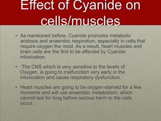 Effect of Cyanide on
cells/muscles
• As mentioned before, Cyanide promotes metabolic
acidosis and anaerobic respiration, especially in cells that
require oxygen the most. As a result, heart muscles and
brain cells are the first to be affected by Cyanide
intoxication.
• The CNS which is very sensitive to the levels of
Oxygen, is going to malfunction very early in the
intoxication and cause respiratory dysfunction.
• Heart muscles are going to be oxygen-starved for a few
moments and will use anaerobic metabolism, which
cannot last for long before serious harm to the cells
occur.

 