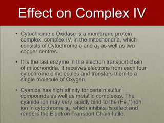 Effect on Complex IV
• Cytochrome c Oxidase is a membrane protein
complex, complex IV, in the mitochondria, which
consists of Cytochrome a and a3 as well as two
copper centres.

• It is the last enzyme in the electron transport chain
of mitochondria. It receives electrons from each four
cytochrome c molecules and transfers them to a
single molecule of Oxygen.
• Cyanide has high affinity for certain sulfur
compounds as well as metallic complexes. The
cyanide ion may very rapidly bind to the (Fe3+)iron
ion in cytochrome a3, which inhibits its effect and
renders the Electron Transport Chain futile.

 