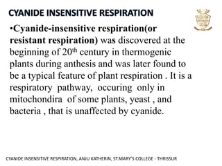 CYANIDE INSENSITIVE RESPIRATION, ANJU KATHERIN, ST.MARY’S COLLEGE - THRISSUR
•Cyanide-insensitive respiration(or
resistant respiration) was discovered at the
beginning of 20th century in thermogenic
plants during anthesis and was later found to
be a typical feature of plant respiration . It is a
respiratory pathway, occuring only in
mitochondira of some plants, yeast , and
bacteria , that is unaffected by cyanide.
 