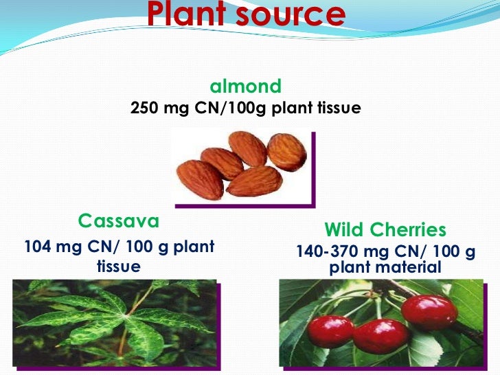 Cyanide poisoning 2012 Cyanide poisoning 2012