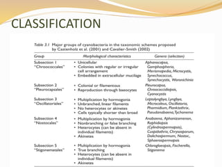 CLASSIFICATION
 