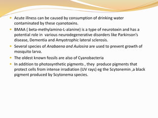  Acute illness can be caused by consumption of drinking water
contaminated by these cyanotoxins.
 BMAA ( beta-methylamino-L-alanine) is a type of neurotoxin and has a
potential role in various neurodegenerative disorders like Parkinson’s
disease, Dementia and Amyotrophic lateral sclerosis.
 Several species of Anabaena and Aulosira are used to prevent growth of
mosquito larva.
 The oldest known fossils are also of Cyanobacteria
 In addition to photosynthetic pigments , they produce pigments that
protect cells from intense irradiation (UV rays) eg the Scytonemin ,a black
pigment produced by Scytonema species.
 