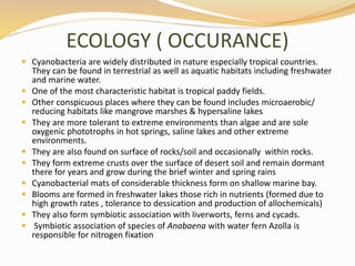 ECOLOGY ( OCCURANCE)
 Cyanobacteria are widely distributed in nature especially tropical countries.
They can be found in terrestrial as well as aquatic habitats including freshwater
and marine water.
 One of the most characteristic habitat is tropical paddy fields.
 Other conspicuous places where they can be found includes microaerobic/
reducing habitats like mangrove marshes & hypersaline lakes
 They are more tolerant to extreme environments than algae and are sole
oxygenic phototrophs in hot springs, saline lakes and other extreme
environments.
 They are also found on surface of rocks/soil and occasionally within rocks.
 They form extreme crusts over the surface of desert soil and remain dormant
there for years and grow during the brief winter and spring rains
 Cyanobacterial mats of considerable thickness form on shallow marine bay.
 Blooms are formed in freshwater lakes those rich in nutrients (formed due to
high growth rates , tolerance to dessication and production of allochemicals)
 They also form symbiotic association with liverworts, ferns and cycads.
 Symbiotic association of species of Anabaena with water fern Azolla is
responsible for nitrogen fixation
 