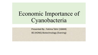 Economic Importance of
Cyanobacteria
Presented By : Fatima Tahir (16604)
BS (HONS) Biotechnology (Evening)
 