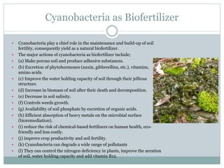 Cyanobacteria as Biofertilizer
 Cyanobacteria play a chief role in the maintenance and build-up of soil
fertility, consequently yield as a natural biofertilizer.
 The major actions of cyanobacteria as biofertilizer include;
 (a) Make porous soil and produce adhesive substances.
 (b) Excretion of phytohormones (auxin, gibberellins, etc.), vitamins,
amino acids.
 (c) Improve the water holding capacity of soil through their jellious
structure.
 (d) Increase in biomass of soil after their death and decomposition.
 (e) Decrease in soil salinity.
 (f) Controls weeds growth.
 (g) Availability of soil phosphate by excretion of organic acids.
 (h) Efficient absorption of heavy metals on the microbial surface
(bioremediation).
 (i) reduce the risk of chemical-based fertilizers on human health, eco-
friendly and less costly.
 (j) improve crop productivity and soil fertility.
 (k) Cyanobacteria can degrade a wide range of pollutants
 (l) They can control the nitrogen deficiency in plants, improve the aeration
of soil, water holding capacity and add vitamin B12.
 
