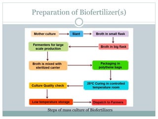 Preparation of Biofertilizer(s)
Steps of mass culture of Biofertilizers
 
