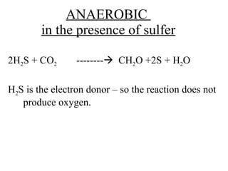 ANAEROBIC  in the presence of sulfer <ul><li>2H 2 S + CO 2 --------    CH 2 O +2S + H 2 O </li></ul><ul><li>H 2 S is the ...