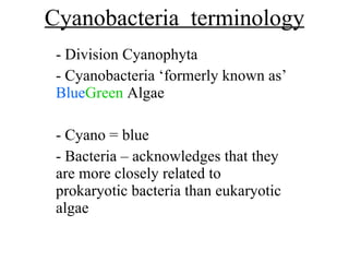Cyanobacteria  terminology - Division Cyanophyta - Cyanobacteria ‘formerly known as’  Blue Green  Algae - Cyano = blue - B...