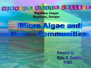Magallanes Campus
Magallanes, Sorsogon
 