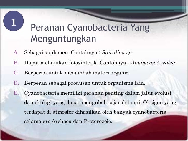 Peran Cyanobacteria Peran Cyanobacteria