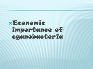 Economic

importance of
cyanobacteria

 