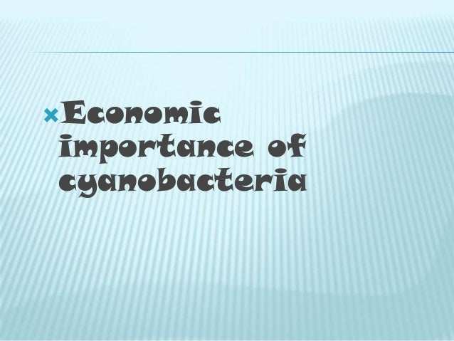 Cyanobacteria Classification Chart