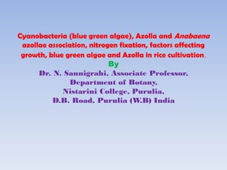 Cyanobacteria (blue green algae), Azolla and Anabaena
azollae association, nitrogen fixation, factors affecting
growth, blue green algae and Azolla in rice cultivation.
By
Dr. N. Sannigrahi, Associate Professor,
Department of Botany,
Nistarini College, Purulia,
D.B. Road, Purulia (W.B) India
 