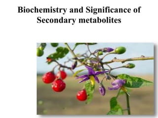 Biochemistry and Significance of
Secondary metabolites
 
