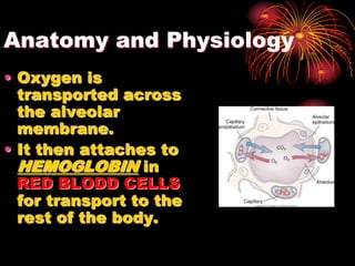 Anatomy and Physiology
• Oxygen is
transported across
the alveolar
membrane.
• It then attaches to
HEMOGLOBIN in
RED BLODD CELLS
for transport to the
rest of the body.
 