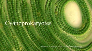 Cyanoprokaryotes
Presented by Debanjan pandit , Faculty of Raidighi college
 