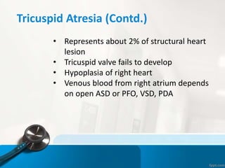 Tricuspid Atresia (Contd.)
• Represents about 2% of structural heart
lesion
• Tricuspid valve fails to develop
• Hypoplasia of right heart
• Venous blood from right atrium depends
on open ASD or PFO, VSD, PDA
 