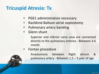 Tricuspid Atresia: Tx
• PGE1 administration necessary
• Rashkind Balloon atrial septostomy
• Pulmonary artery banding
• Glenn shunt
Superior and inferior vena cava are connected
directly to the pulmonary arteries - Between 3-6
month
• Fontan procedure
Anastomosis between Right atrium &
pulmonary artery - Between 1.5 – 3 year of age
 