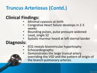 Truncus Arteriosus (Contd.)
Clinical Findings:
• Minimal cyanosis at birth
• Congestive Heart failure develops in 2-3
weeks
• Bounding pulses, pulse pressure widened
• Loud, single S2
• Systolic murmur heard at left sternal border
Diagnosis:
• ECG reveals biventricular hypertrophy
• Echocardiography:
• Demonstrates the large truncal artery
overriding the VSD and the pattern of origin of
the branch pulmonary arteries
 