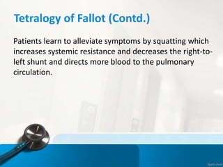 Tetralogy of Fallot (Contd.)
Patients learn to alleviate symptoms by squatting which
increases systemic resistance and decreases the right-to-
left shunt and directs more blood to the pulmonary
circulation.
 