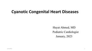 Cyanotic Congenital Heart Diseases
Hayat Ahmed, MD
Pediatric Cardiologist
January, 2023
2/13/2023 1
 