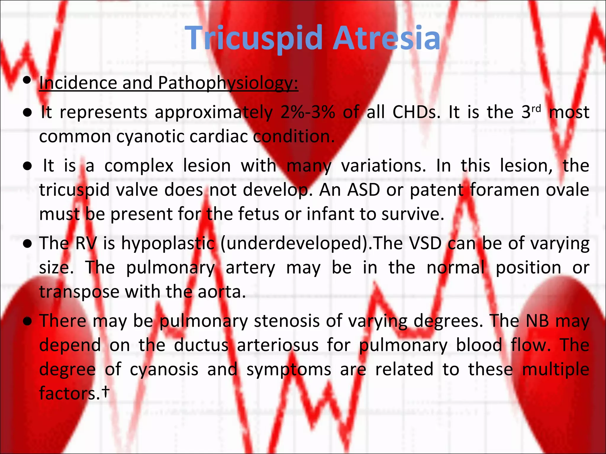 Tricuspid Atresia Incidence and Pathophysiology: ●  It represents approximately 2%-3% of all CHDs. It is the 3 rd  most common cyanotic cardiac condition.  ●  It is a complex lesion with many variations. In this lesion, the tricuspid valve does not develop. An ASD or patent foramen ovale must be present for the fetus or infant to survive. ●  The RV is hypoplastic (underdeveloped).The VSD can be of varying size. The pulmonary artery may be in the normal position or transpose with the aorta. ●  There may be pulmonary stenosis of varying degrees. The NB may depend on the ductus arteriosus for pulmonary blood flow. The degree of cyanosis and symptoms are related to these multiple factors.  
