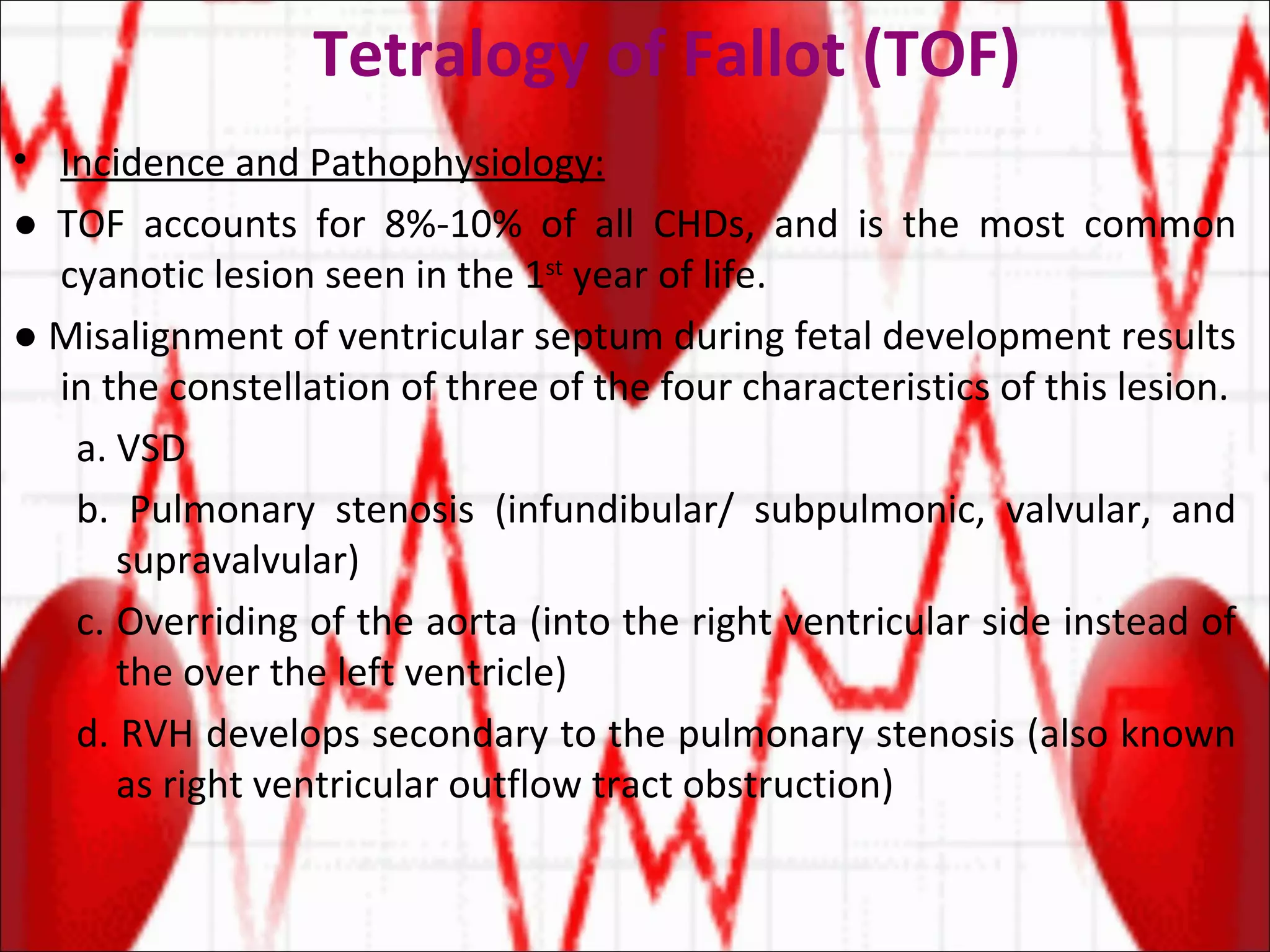 Tetralogy of Fallot (TOF) Incidence and Pathophysiology: ●  TOF accounts for 8%-10% of all CHDs, and is the most common cyanotic lesion seen in the 1 st  year of life. ●  Misalignment of ventricular septum during fetal development results in the constellation of three of the four characteristics of this lesion. a. VSD b. Pulmonary stenosis (infundibular/ subpulmonic, valvular, and supravalvular) c. Overriding of the aorta (into the right ventricular side instead of the over the left ventricle) d. RVH develops secondary to the pulmonary stenosis (also known as right ventricular outflow tract obstruction) 