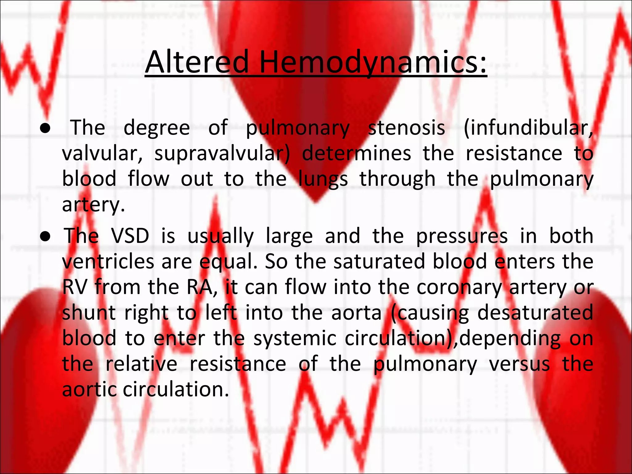 Altered Hemodynamics: ●  The degree of pulmonary stenosis (infundibular, valvular, supravalvular) determines the resistance to blood flow out to the lungs through the pulmonary artery. ●  The VSD is usually large and the pressures in both ventricles are equal. So the saturated blood enters the RV from the RA, it can flow into the coronary artery or shunt right to left into the aorta (causing desaturated blood to enter the systemic circulation),depending on the relative resistance of the pulmonary versus the aortic circulation. 